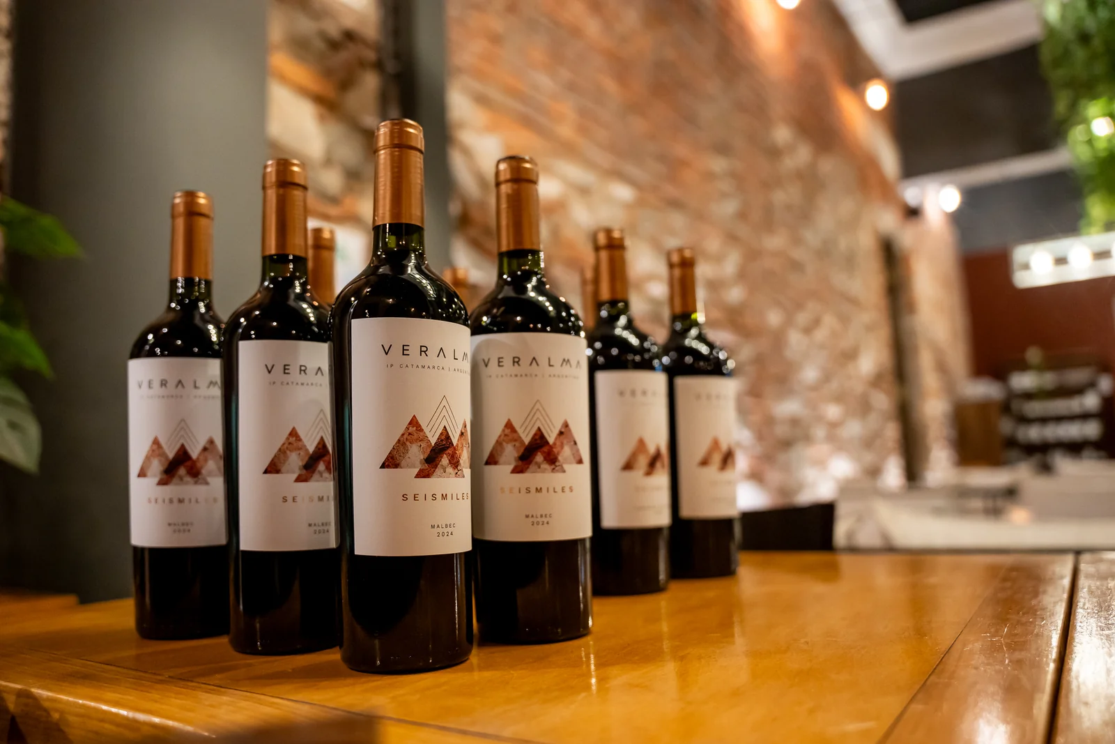 Cava de vinos locales Veralma Seismiles
